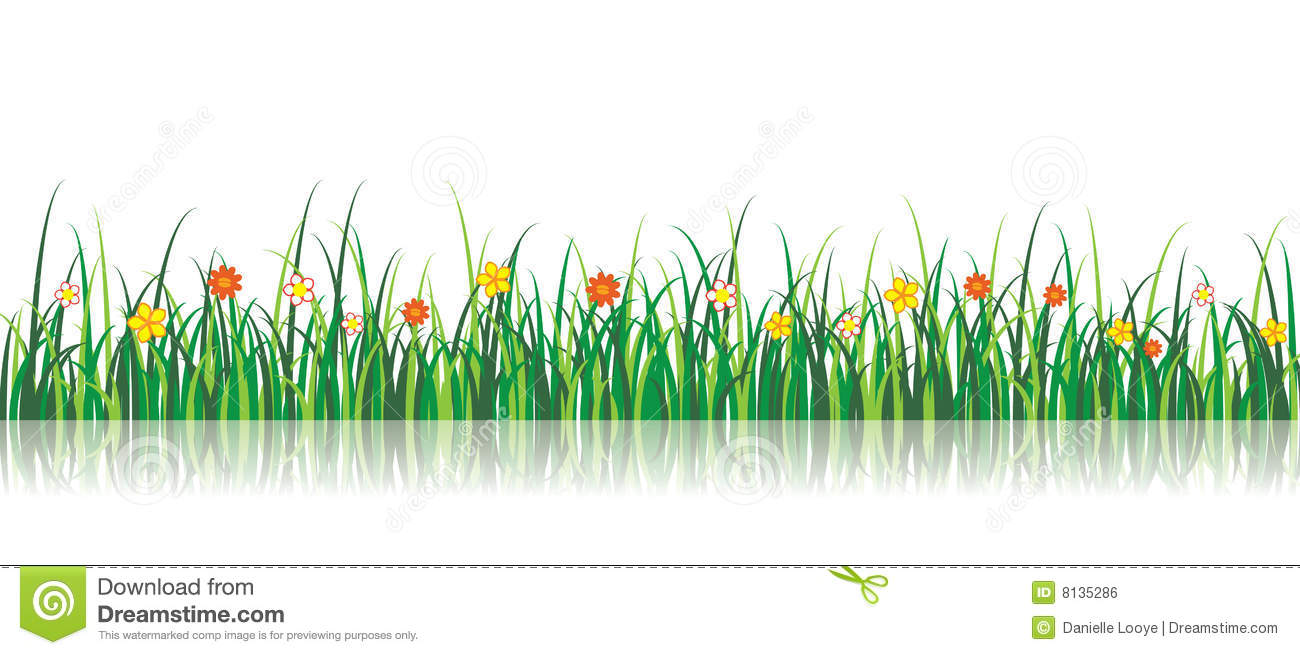 Grass Vector Illustration