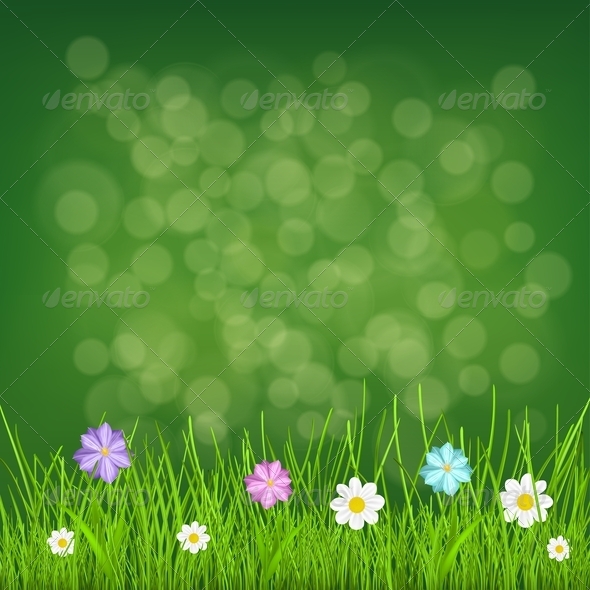 Green Grass and Flowers