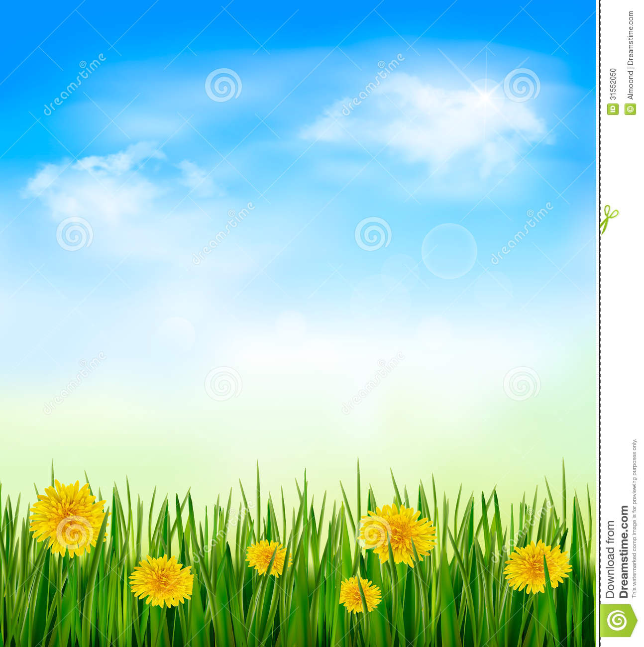 Green Grass and Sky Blue with Flowers