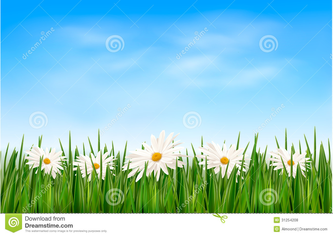 Green Grass and Sky Blue with Flowers
