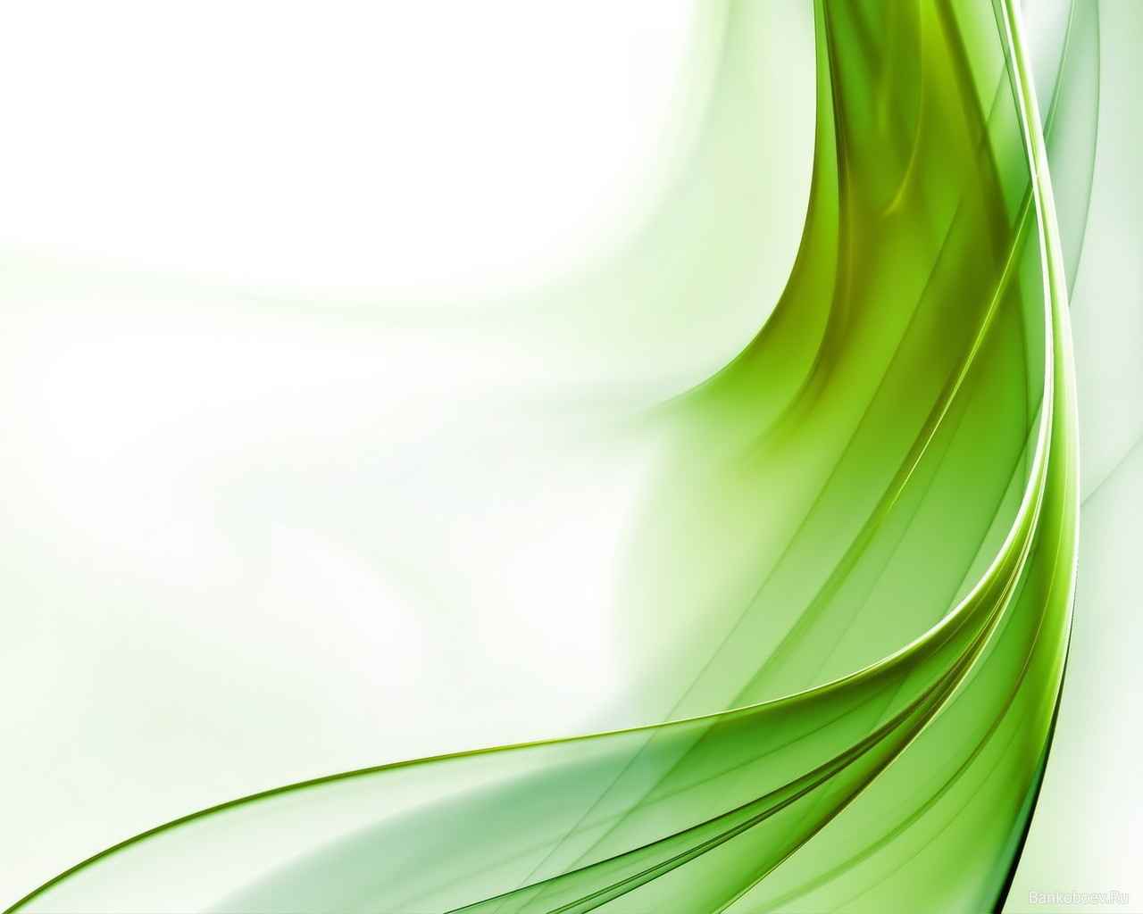 Green Wave Green Wave