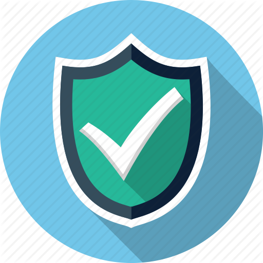 Security Check Mark Icon