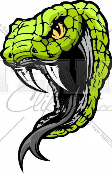 Snake Head Clip Art