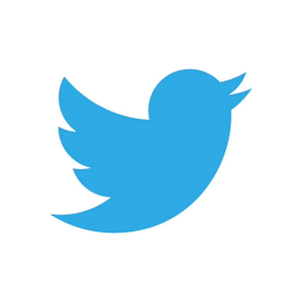 Transparent Twitter Bird Icon