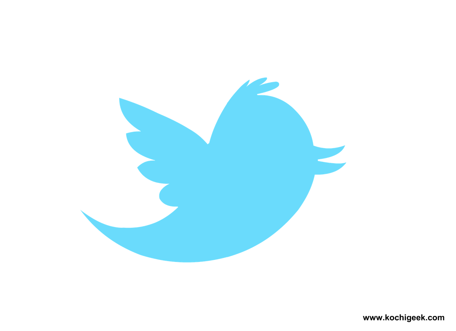 12 Twitter Bird Icon Transparent Images