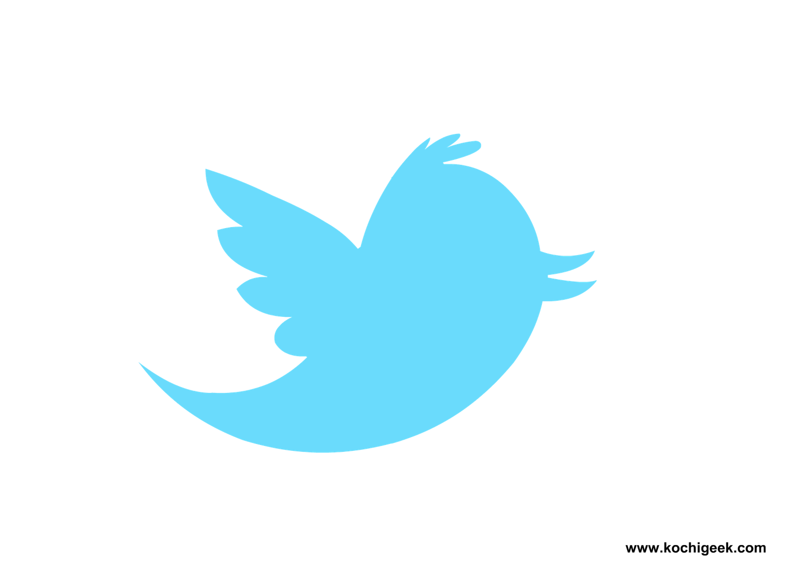 Twitter Bird Logo Transparent