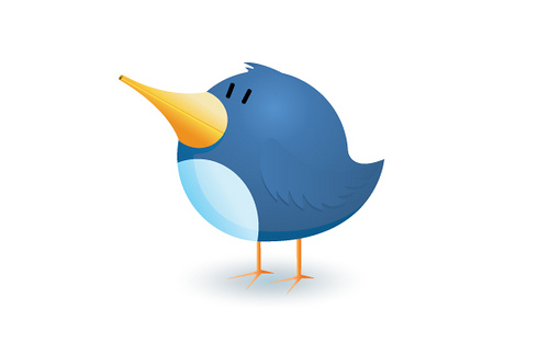 Twitter Bird Logo Transparent