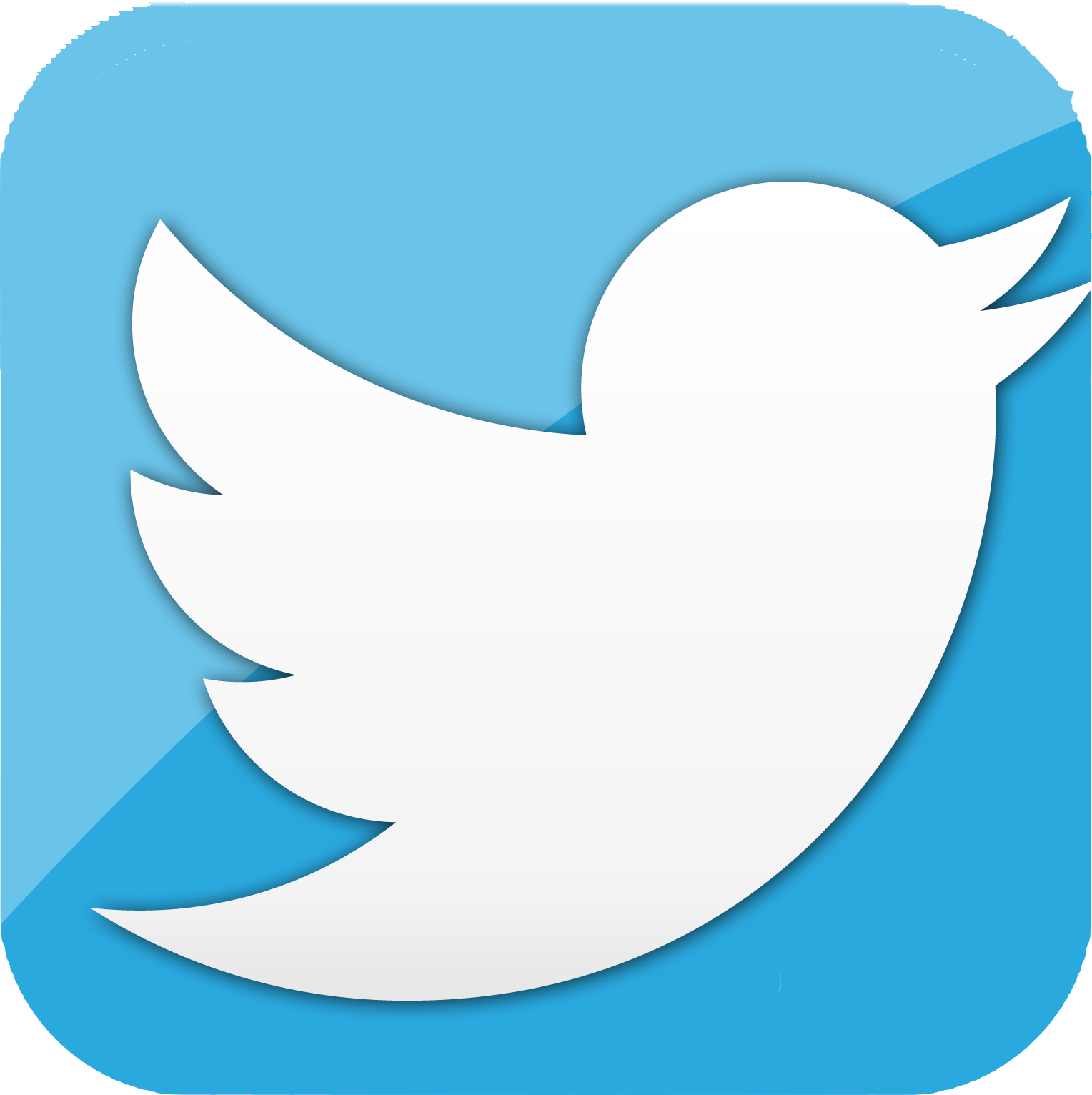 Twitter Bird Logo