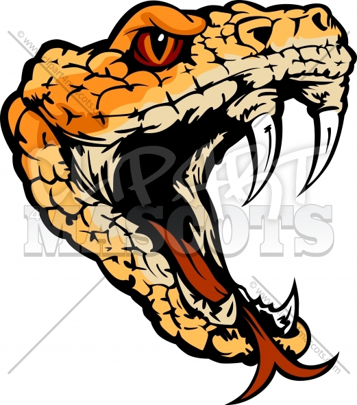 Viper Snake Head Clip Art