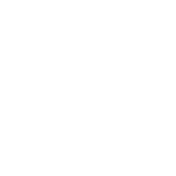 White Circle Outline Icon