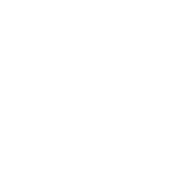 White Circle Outline Icon