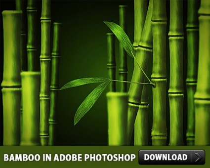 14 Adobe Photoshop PSD Images