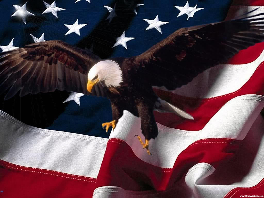 American Flag and Eagle