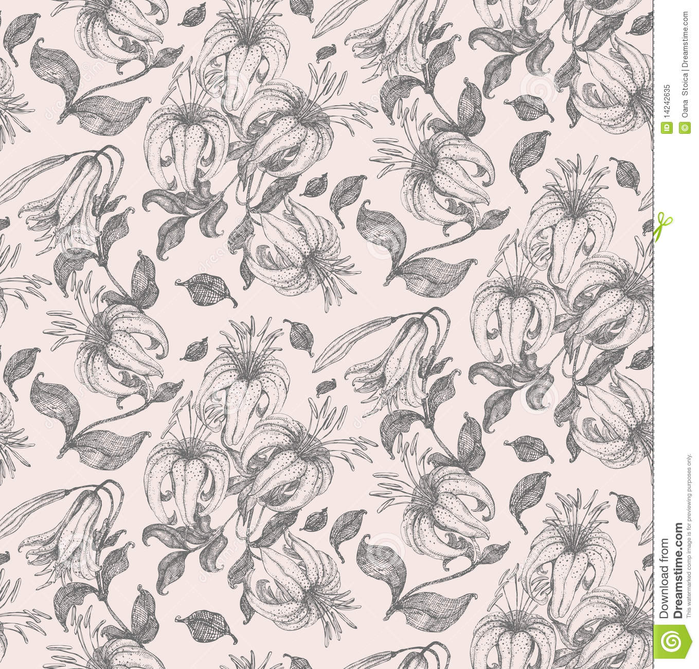 Calla Lily Drawing Pattern