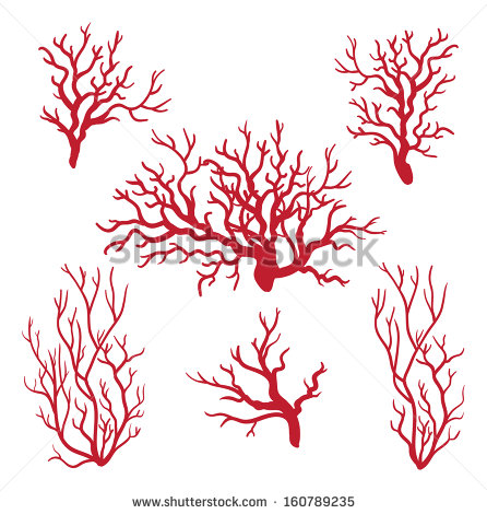 Coral Clip Art