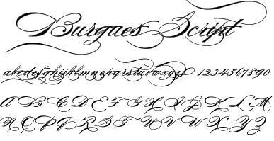 Elegant Script Fonts Alphabet