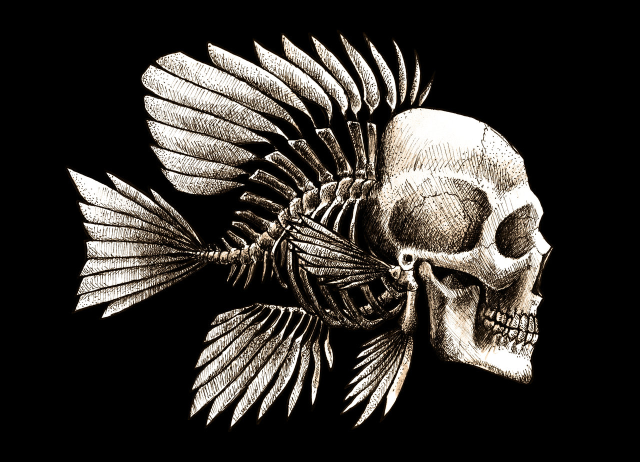 Fish Skull Tattoo Designs