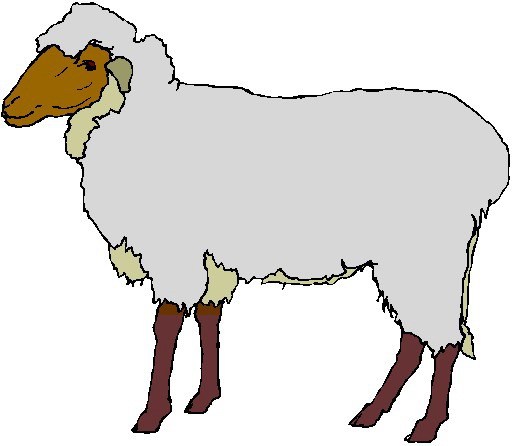 Free Sheep Clip Art