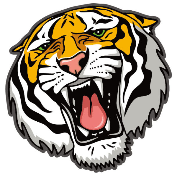 13 Tiger Vector Art Images