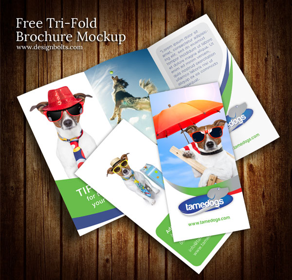 Free Tri-Fold Brochure Mockup PSD Free Tri-Fold Brochure Mockup PSD