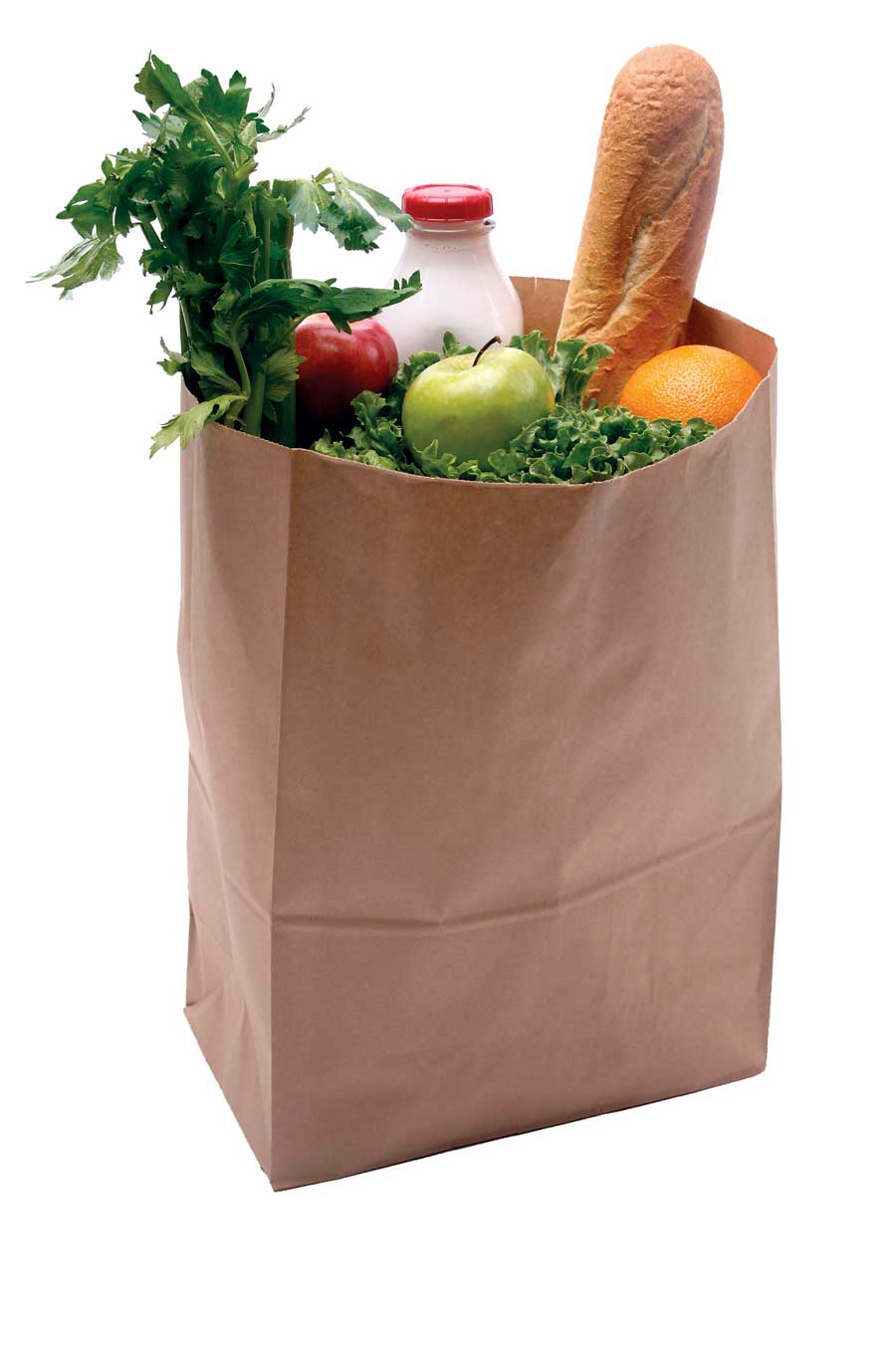 15 With Food Grocery Bag Icon Images