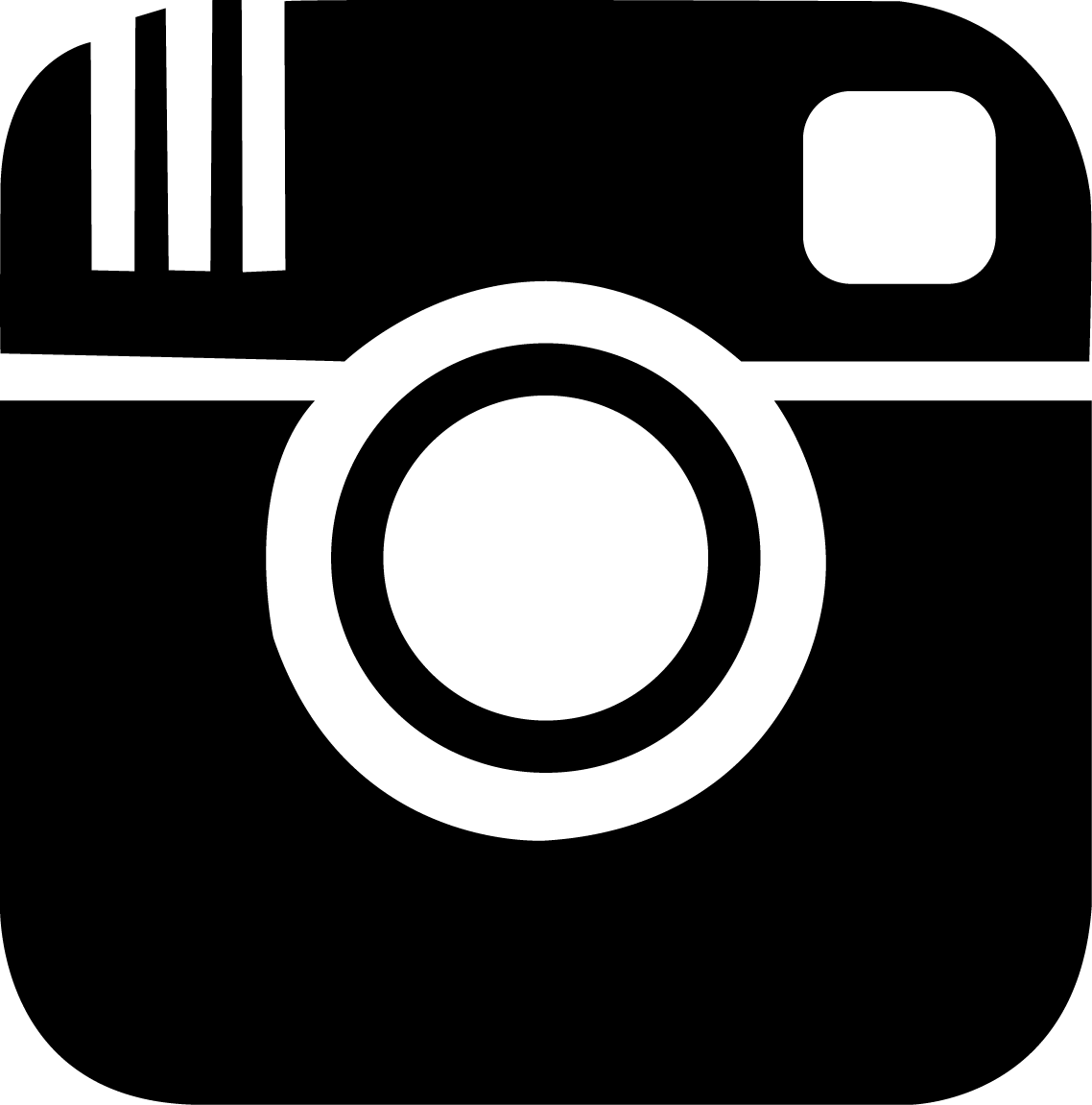 Instagram Icon Vector Logo