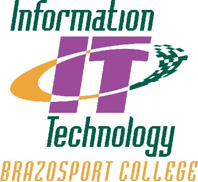 It Information Technology Logo