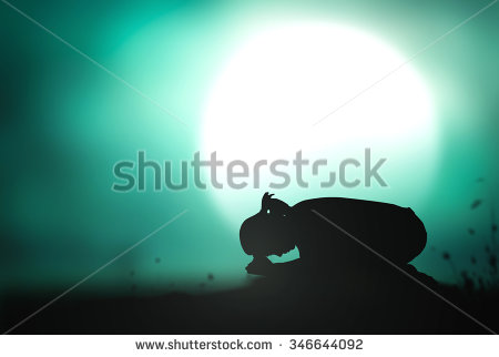 Kneeling Silhouette
