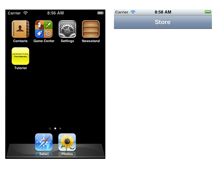 Newsstand App Icon