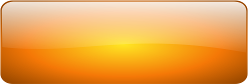 12 Orange Rectangle Button Icons PNG Images