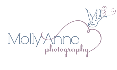 Photography Logos Free Templates