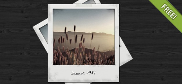 Polaroid Frames Psd