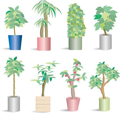 Potted Plant Vector