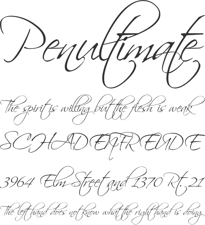 Scriptina Pro Font