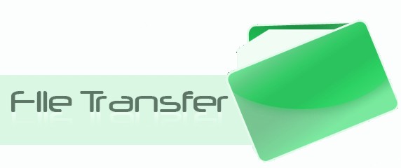 Secure File Transfer Icon
