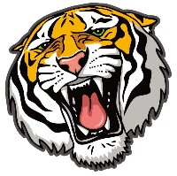 Free Tiger Vector Art