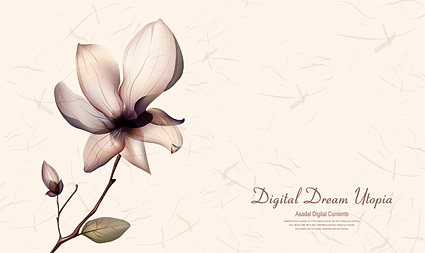 Transparent Flower Graphic Design