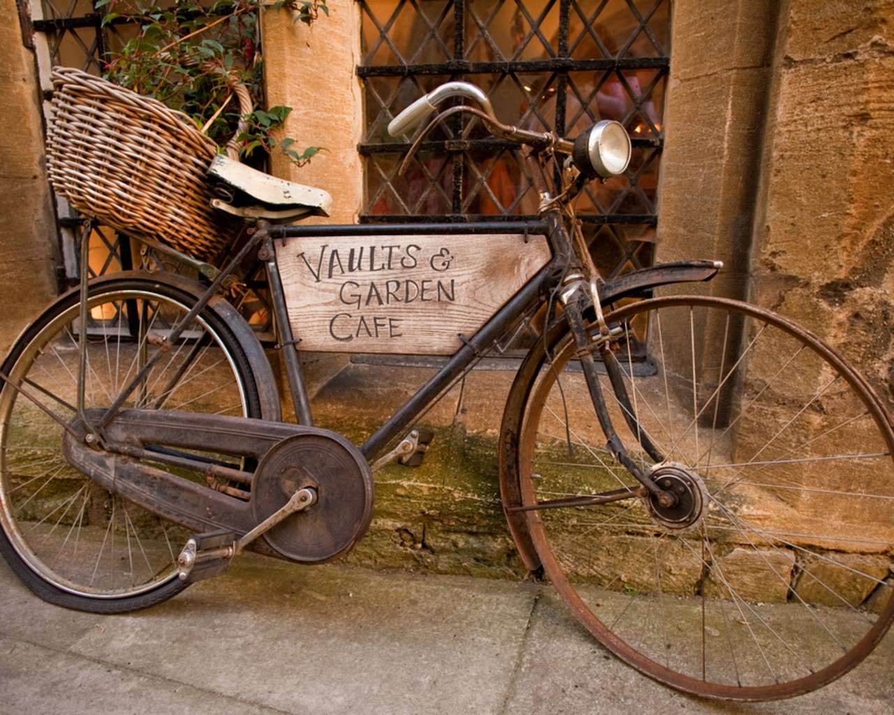 Vintage Garden Photography