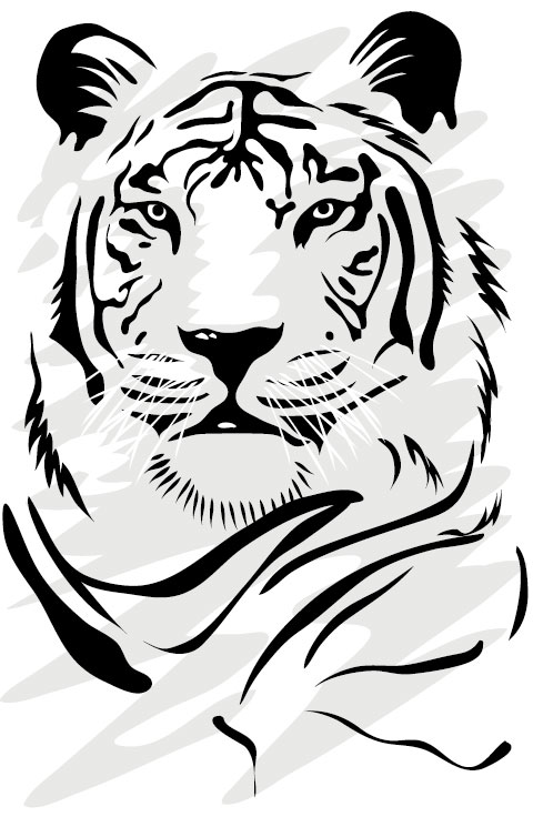 White Tiger Stencil