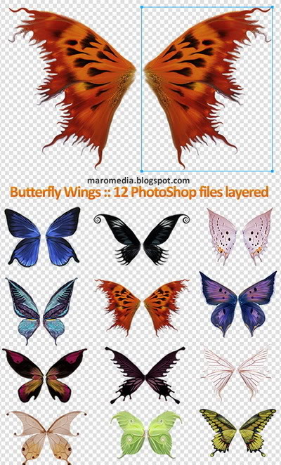 Anime with Butterfly Wings Anime with Butterfly Wings