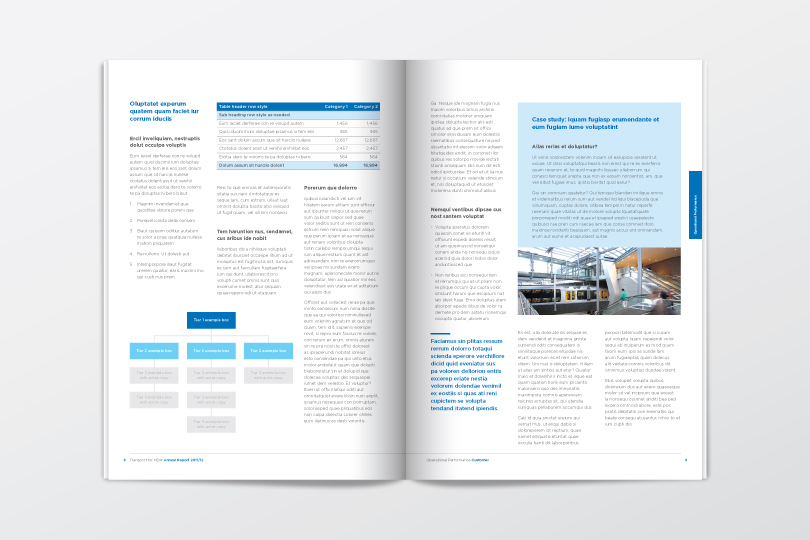 Annual Report Design Template