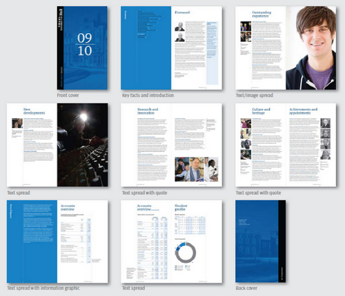 Annual Report Page Layout Design