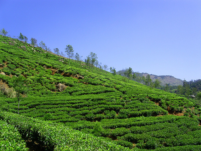 Beautiful India Landscapes