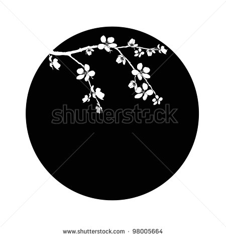 Black and White Cherry Blossom Branch