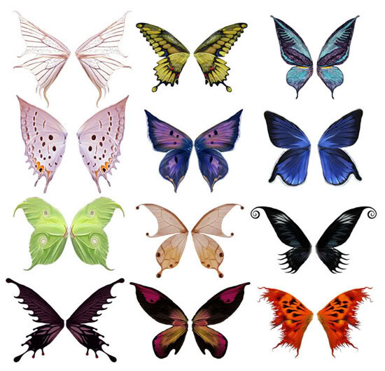 12 Photos of Butterfly Wings PSD