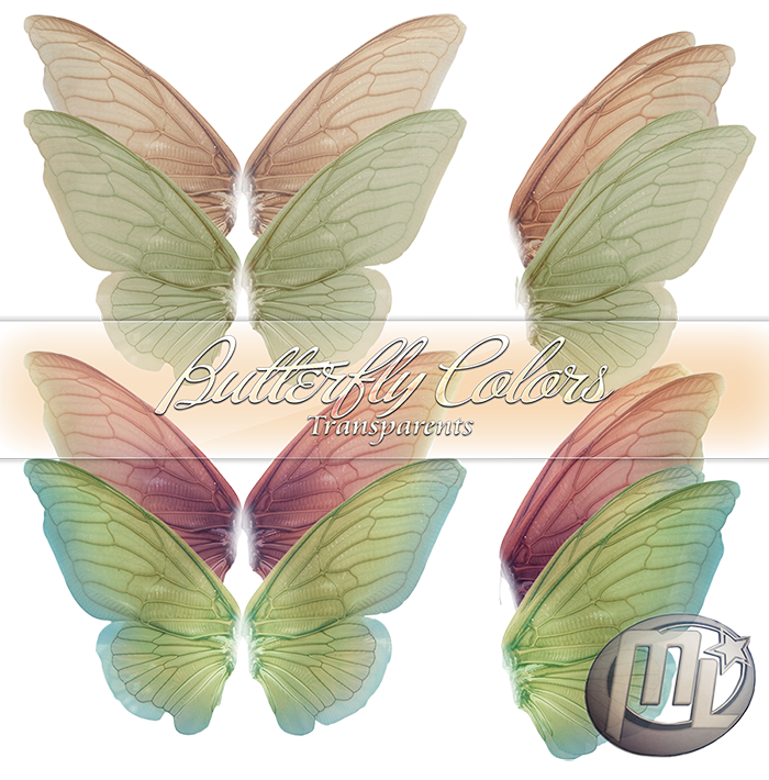 Butterfly Wing Color Butterfly Wing Color