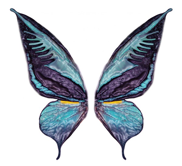 Butterfly Wings Photoshop