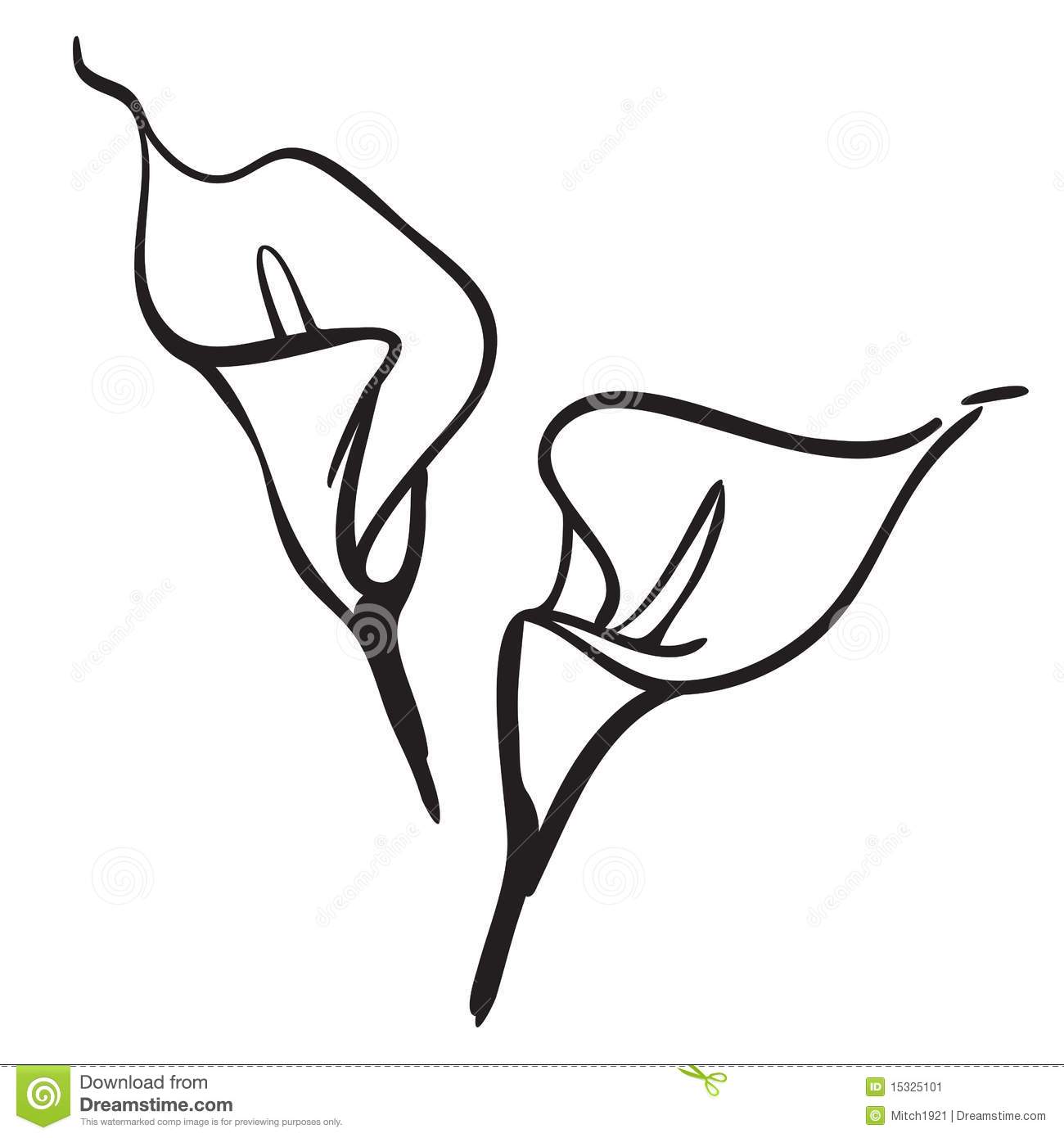 Calla Lily Flower Drawing