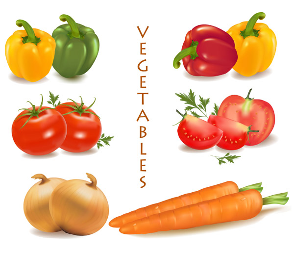 Carrot Vector Free Download