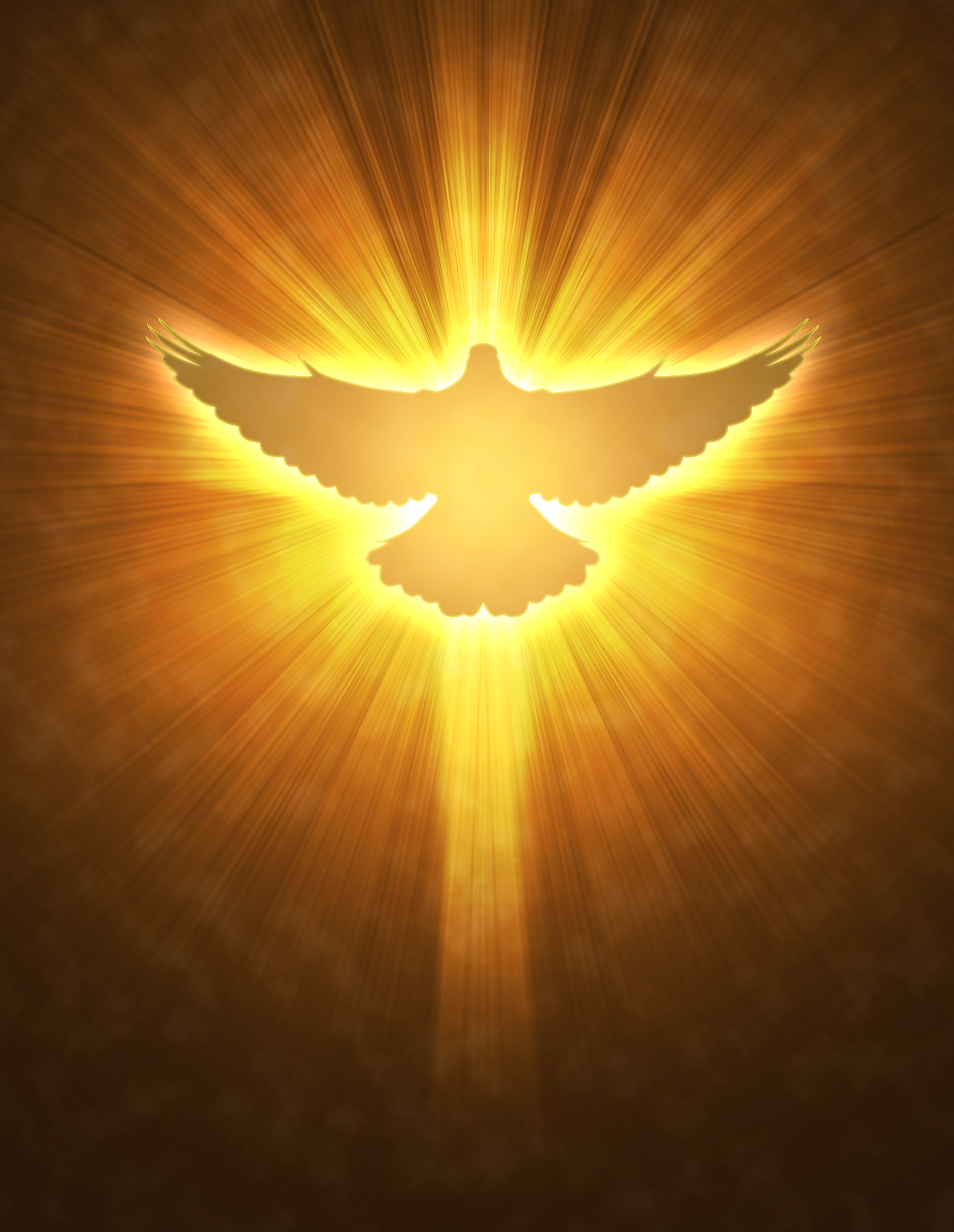 Catholic Holy Spirit Dove